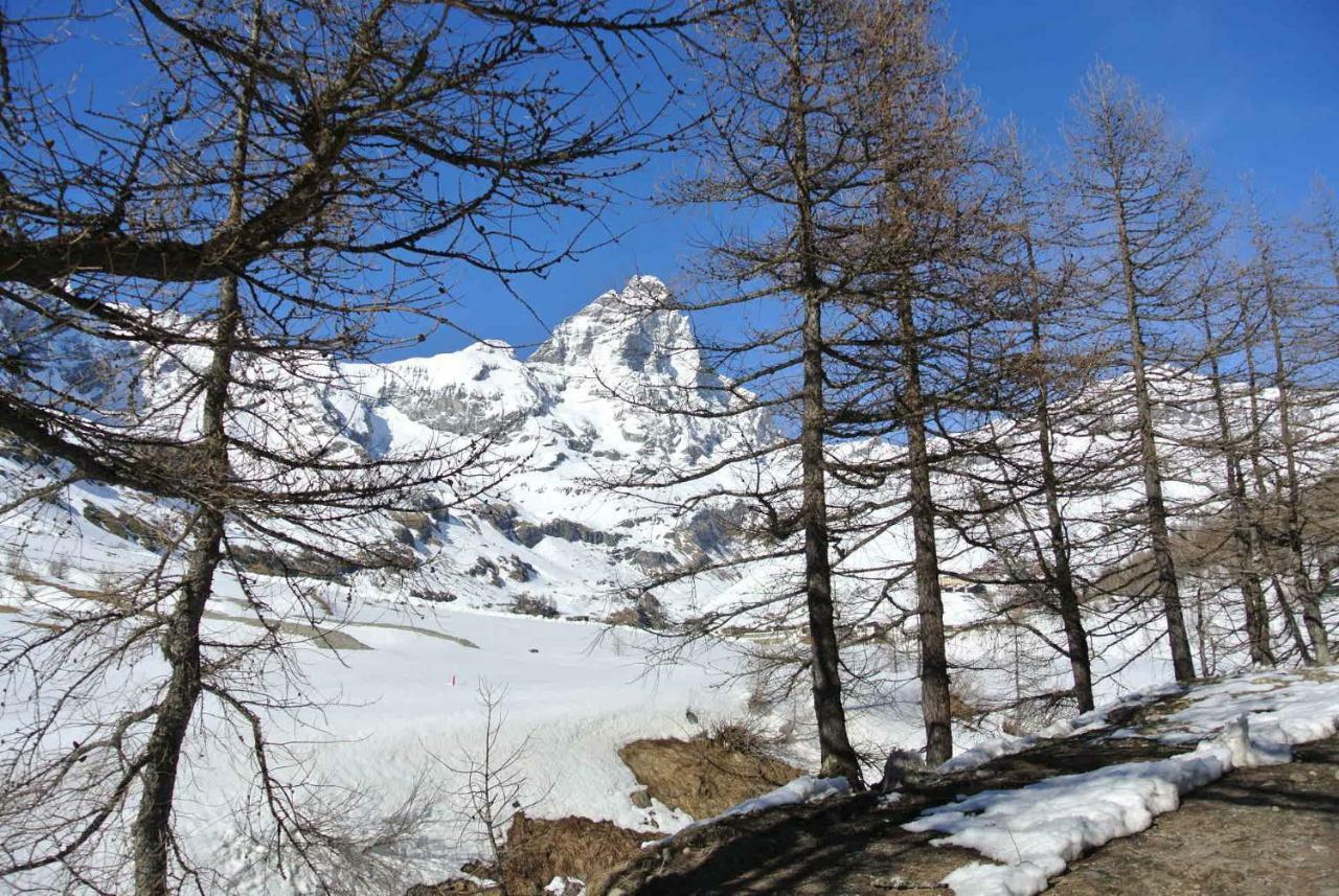 Complesso I Dadi - Residence Cielo Alto - Alberto 21 Breuil-Cervinia Exterior photo